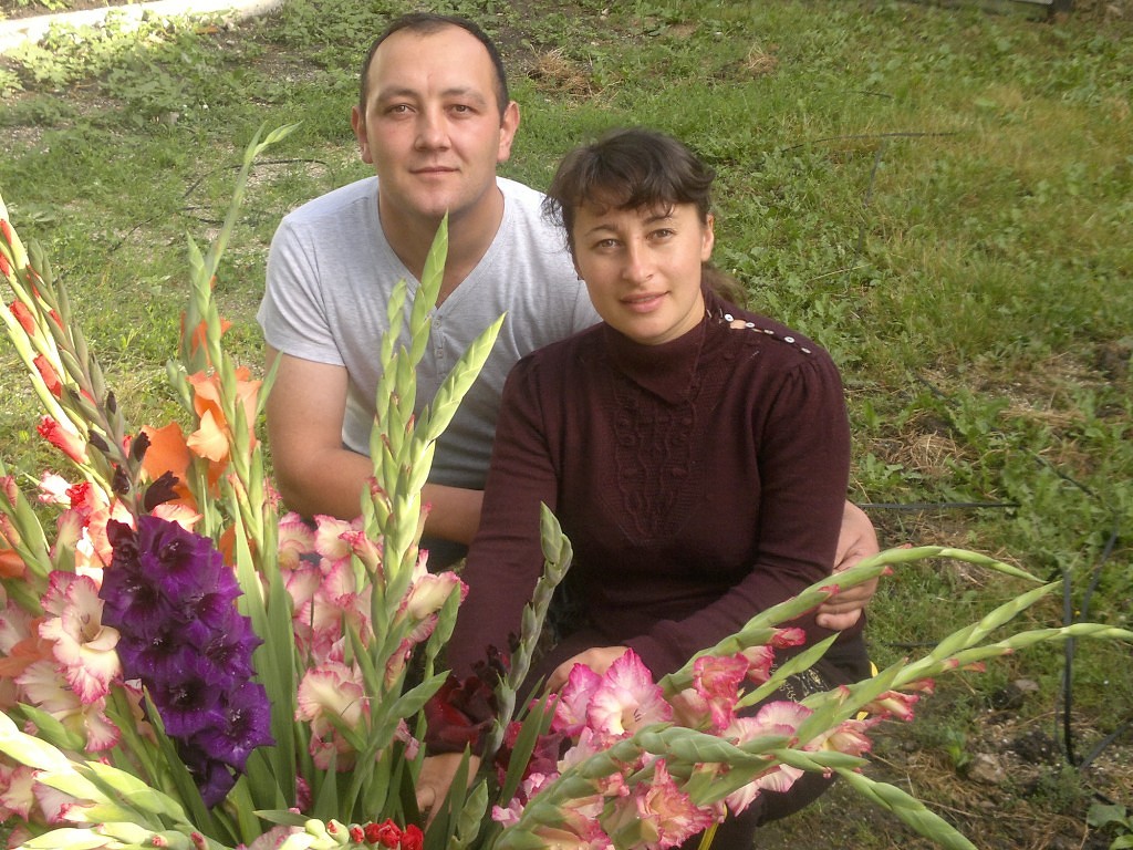 Pentru că gladiolele. Cum a apărut „Mica Olandă” la nordul Moldovei datorită unui businessman din Edineț