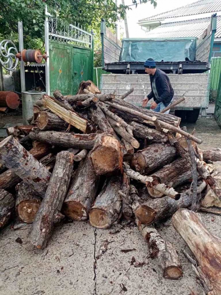 В Кишиневе 240 малоимущих семей бесплатно получили дрова