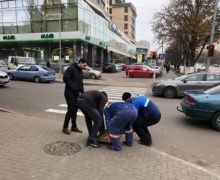 Власти Кишинева ограничили парковку на тротуаре на Московском проспекте (ФОТО)