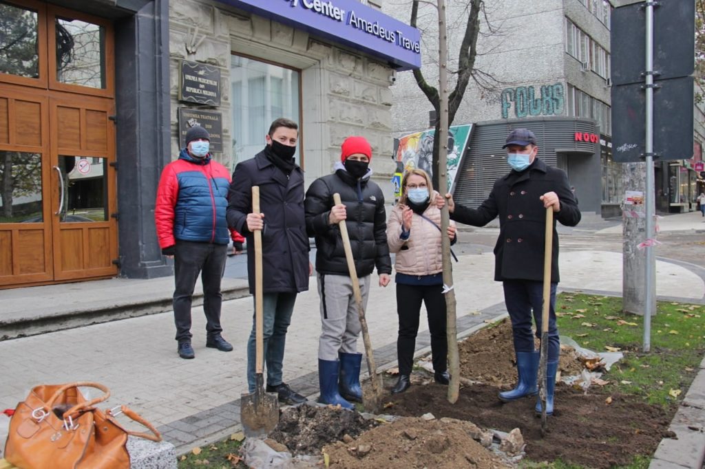 În scuarul Mihai Eminescu din capitală au fost plantați brazi. Primarul promite și alți copaci (FOTO)