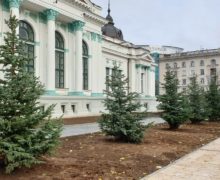 В сквере у театра Эминеску сотрудники мэрии Кишинева посадили елки (ФОТО)
