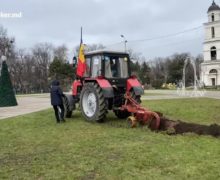 «Это значит, что нас не волнует труд других людей». Мэра Кишинева возмутила борозда на газоне