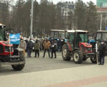 В Кишиневе протестуют фермеры (ВИДЕО) (ОБНОВЛЕНО)