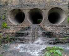 Днестр — река, ставшая канализацией. Что пьют жители Кишинева?