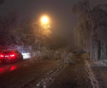 В Кишиневе из-за ледяного дождя повалило деревья (ФОТО)