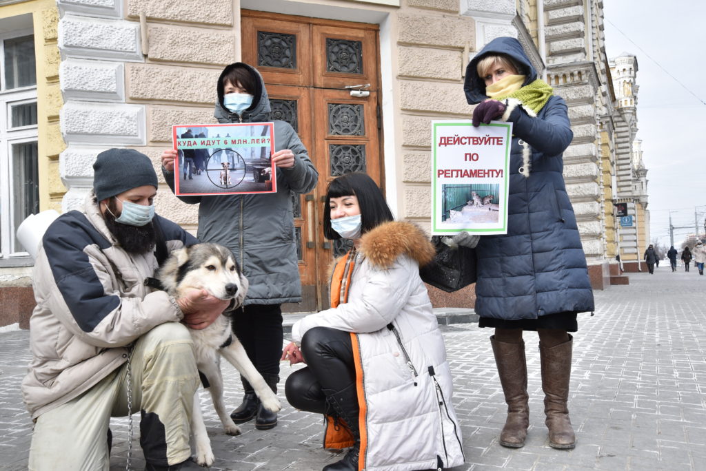 Activiștii pentru drepturile animalelor au organizat un protest în fața primăriei capitalei (FOTO)
