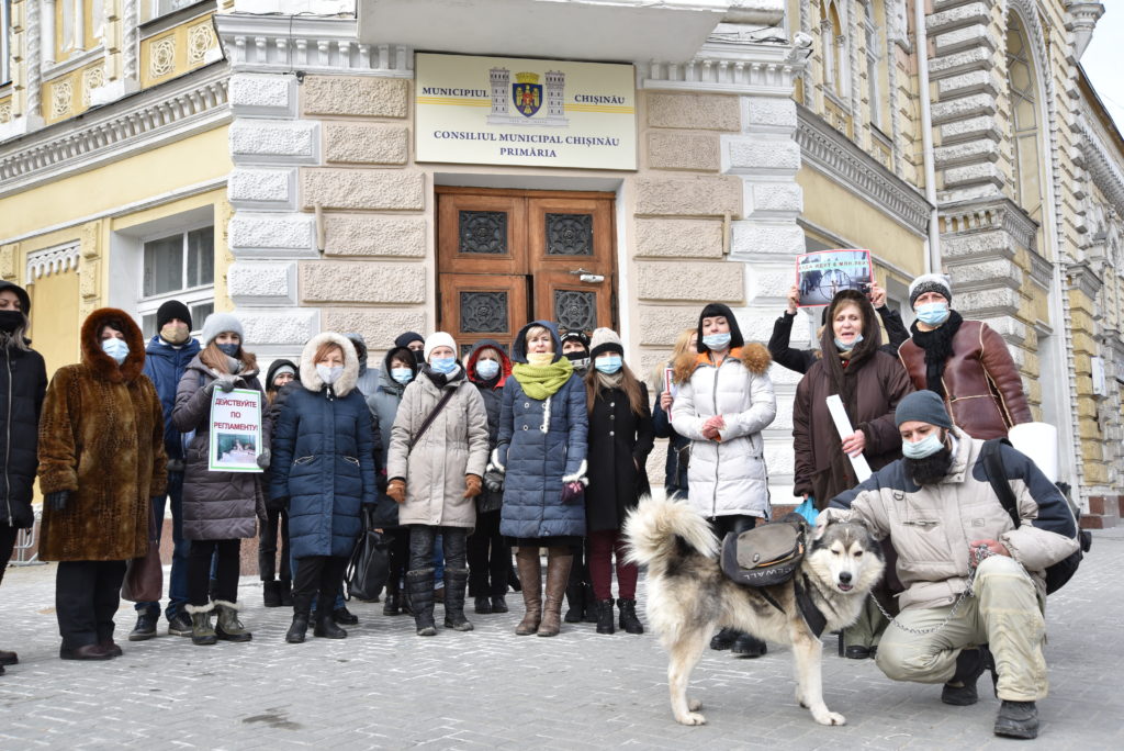 Activiștii pentru drepturile animalelor au organizat un protest în fața primăriei capitalei (FOTO)