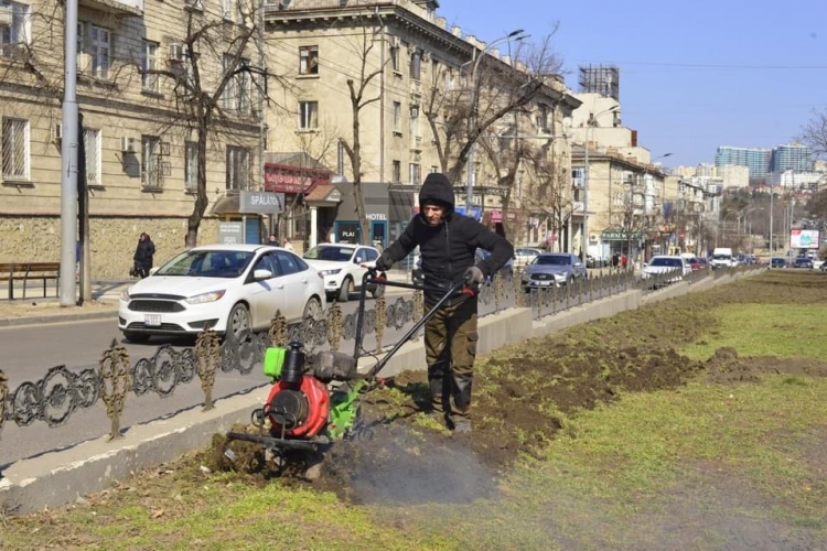 В центре Кишинева начали ремонтировать пешеходную аллею на бульваре Виеру (ФОТО)