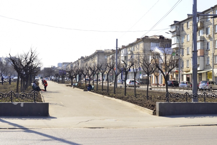 В центре Кишинева начали ремонтировать пешеходную аллею на бульваре Виеру (ФОТО)