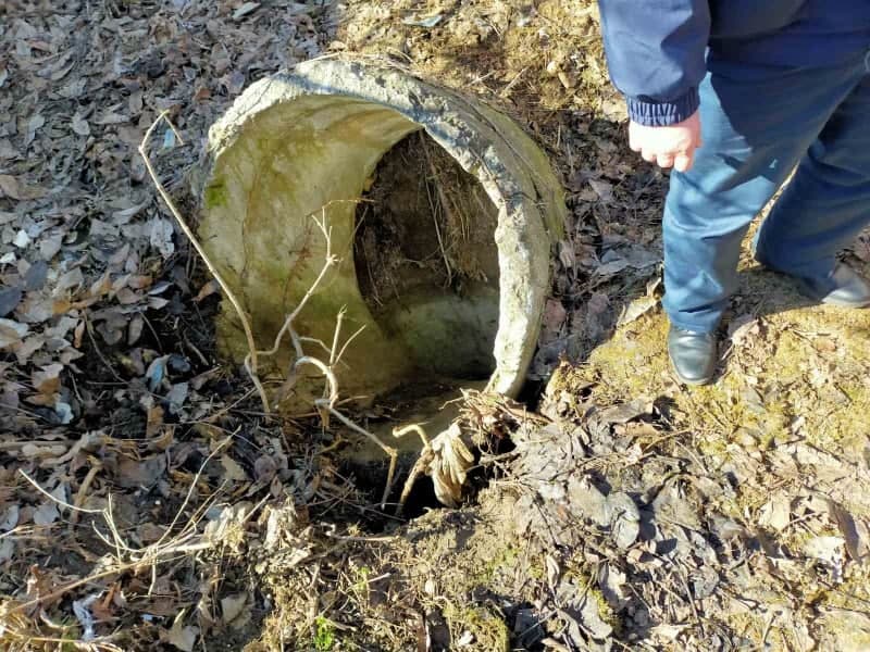 Un bărbat de 75 de ani, salvat de pompieri dintr-o gură de canalizare adâncă de 3 metri (FOTO)