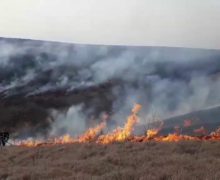 В Молдове за сутки потушили 20 природных пожаров