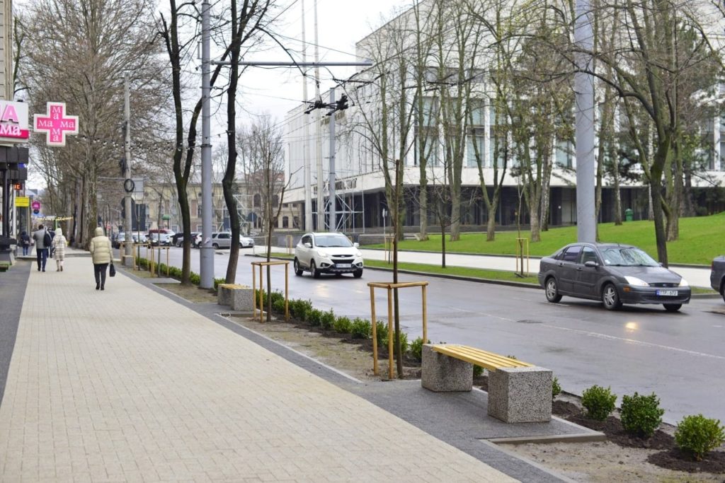 Cum luptă Primăria cu parcările pe trotuar? 114 arbuşti au fost plantați pe str. Pușkin (FOTO)