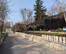 Зоопарк Кишинева будет работать на час дольше