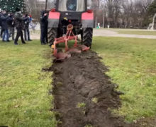 Вступай или проиграешь. Молдавских фермеров обяжут вступить в аграрные палаты, чтобы получать субсидии?