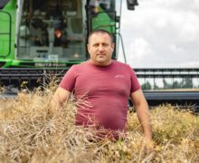 Олег Поповиченко: «На юге Молдовы в этом году высокий урожай пшеницы и рапса»