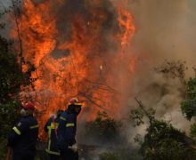 Incendiile din Grecia au fost aduse sub control. Precizările pompierilor eleni