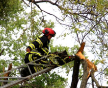 Copaci doborâți, drumuri blocate și localități fără lumină. Consecințele ploilor torențiale (FOTO/VIDEO)