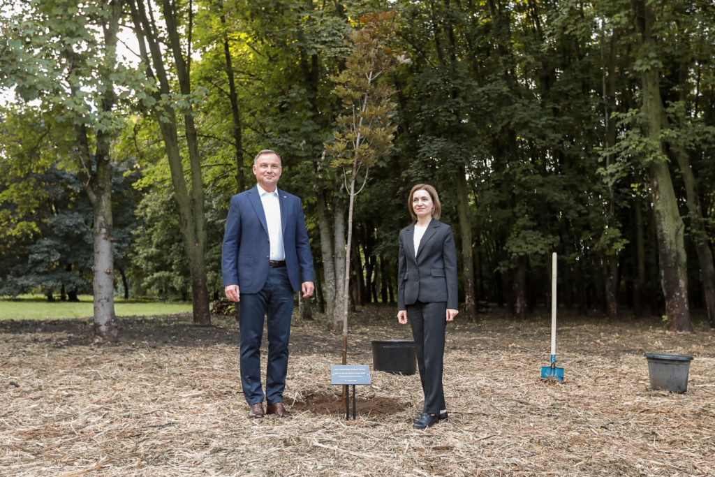 Maia Sandu l-a dus pe Andrzej Duda la Grădina Botanică. În mai, președinta a plantat mesteacăni cu liderul Lituaniei (FOTO)