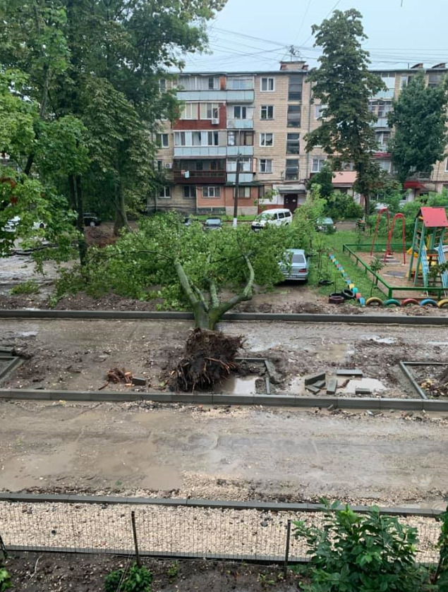 Затопленные дороги, поваленные деревья. Во что ливень превратил улицы Кишинева (ФОТО/ВИДЕО)