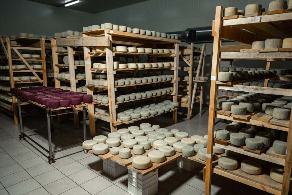 Кто в Молдове получил право экспортировать сыр из овечьего молока на рынок России