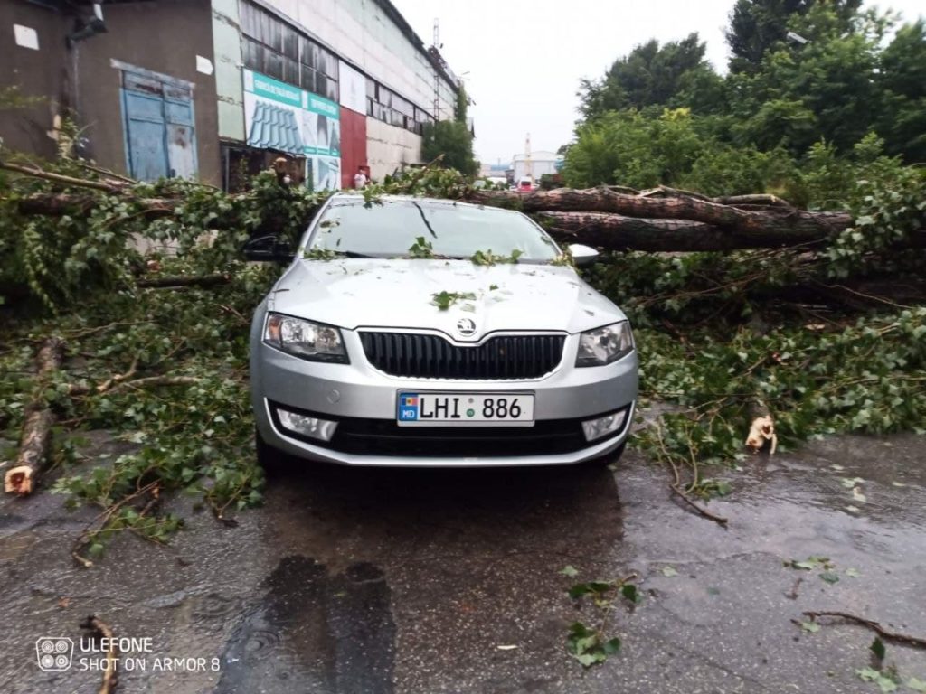 Doi copaci au fost doborâți de vânt peste niște mașini parcate în capitală (FOTO)