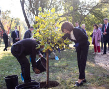 Санду и Штайнмайер посадили деревья в Ботаническом саду (ФОТО)