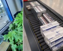 В аэропорту Кишинева за вазоном с растениями обнаружили склад сигарет