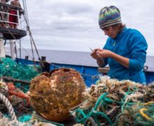 «Большое тихоокеанское мусорное пятно» стало домом для множества морских животных