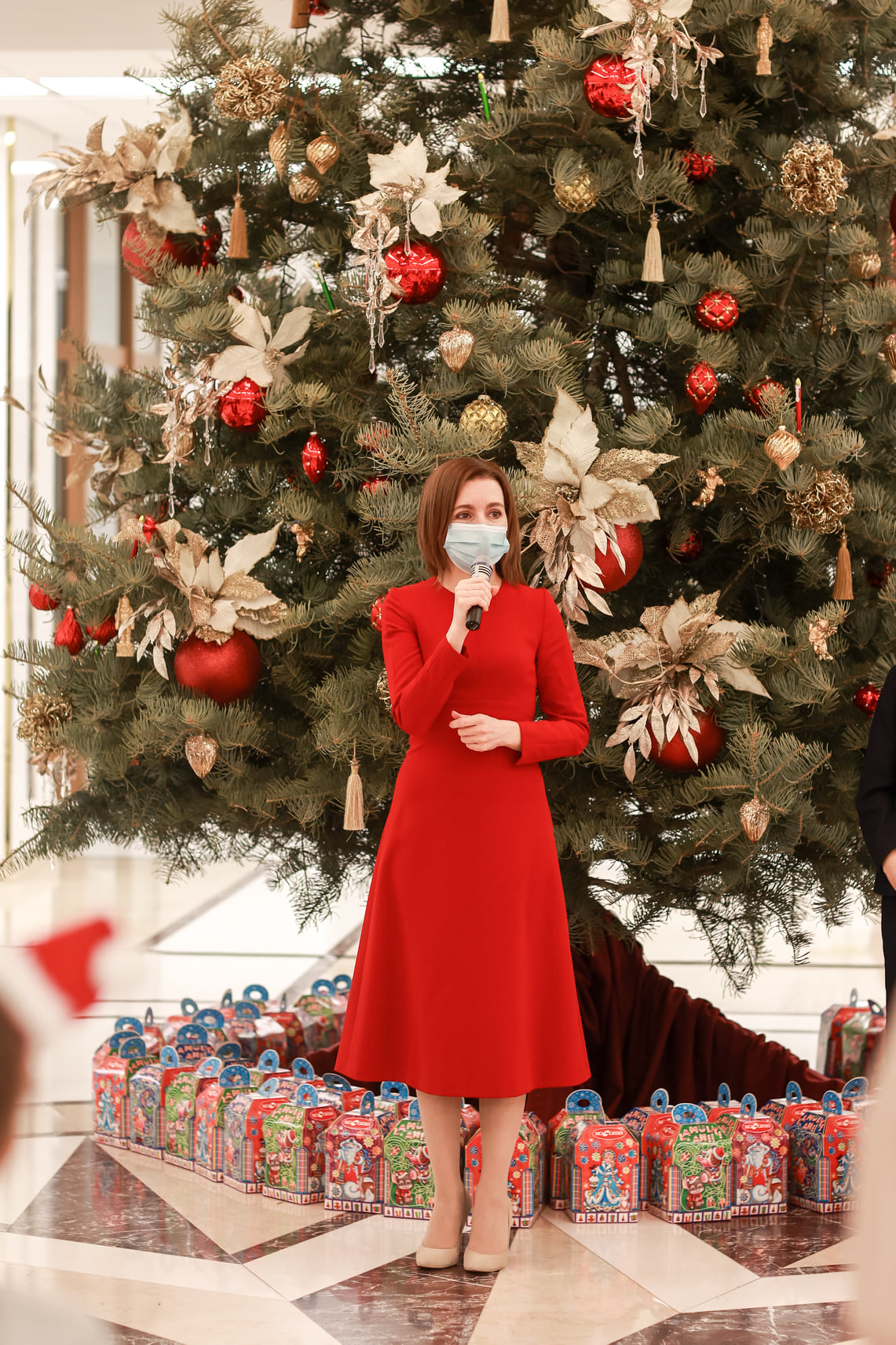 (ФОТО/ВИДЕО) Санду объявила конкурс на самую оригинальную новогоднюю елку в городах и селах