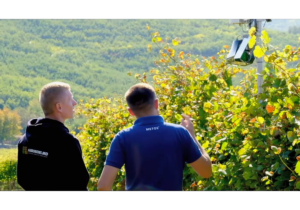 Аgrobiznes и iMetos запускают первую агрометеорологическую платформу для молдавских фермеров