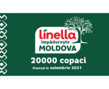 Linella împădurește Moldova cu 20 000 de copaci