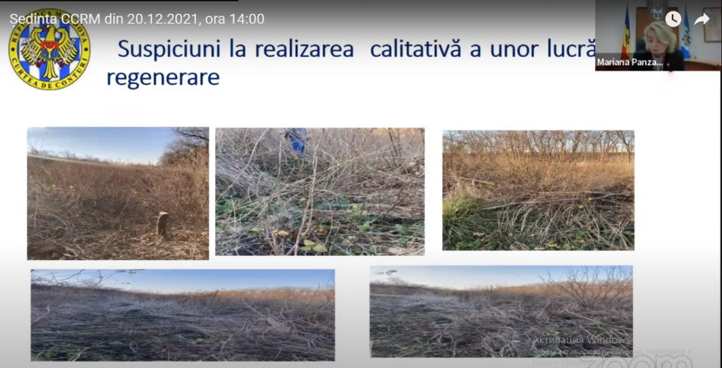 В лесах Молдовы незаконно строят и перепродают здания. Что еще выяснила Счетная палата при аудите Moldsilva