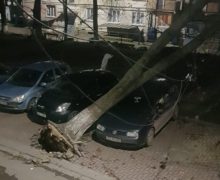 В Молдове объявили оранжевый код из-за сильного ветра