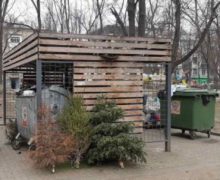 В Кишиневе выброшенные новогодние елки отправят на переработку