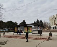 (ФОТО) В Кишиневе отремонтировали еще 50 остановок общественного транспорта