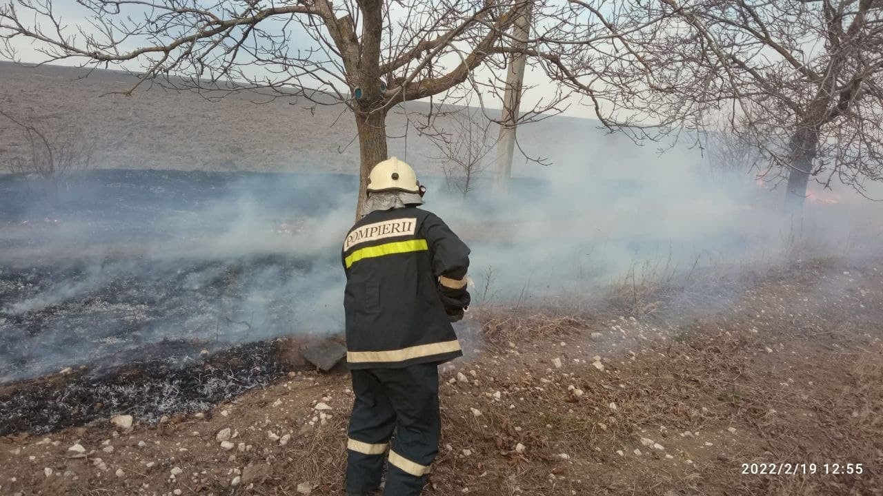 FOTO Peste o mie de hectare de vegetaţie uscată au fost stinse de pompieri, în ultimele 24 de ore