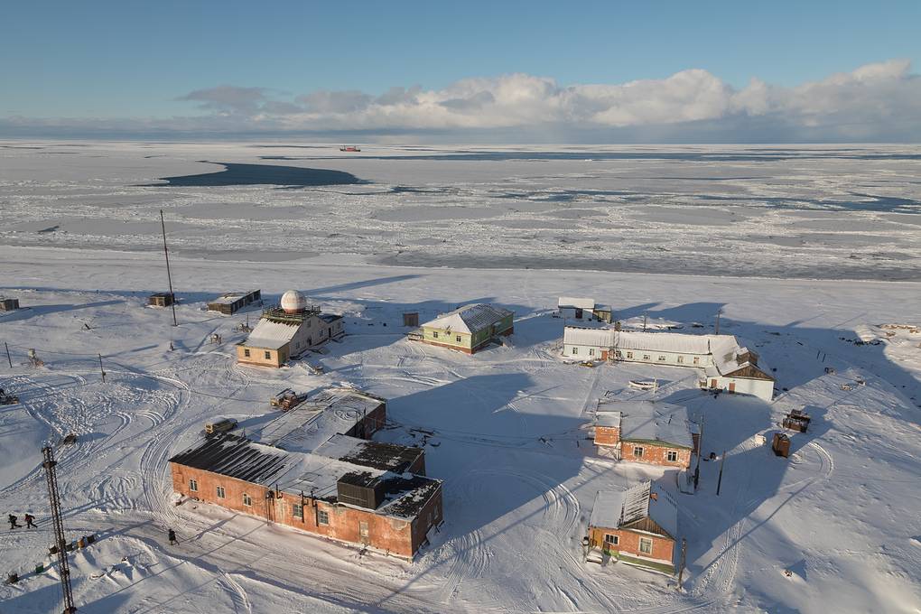 „Visam să ajung aici”. O moldoveancă este conducătorul științific al unei rezervații de urși polari de pe o insulă din Oceanul Arctic