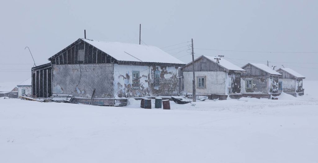 „Visam să ajung aici”. O moldoveancă este conducătorul științific al unei rezervații de urși polari de pe o insulă din Oceanul Arctic