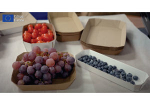 Эко-бизнес: предприниматель из Сынджеры производит биоразлагаемую тару