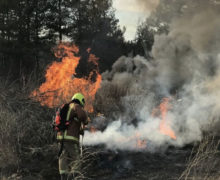 FOTO Peste o mie de hectare de vegetaţie uscată au fost stinse de pompieri, în ultimele 24 de ore