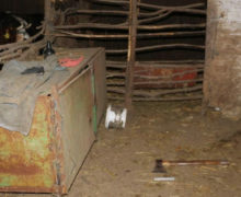 (ВИДЕО) На ферме в Кирулянском районе произошло убийство. Полиция задержала подозреваемого