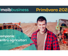 Lucrări de primăvară cu spor! Beneficiază de oferta specială Primăvara 2022