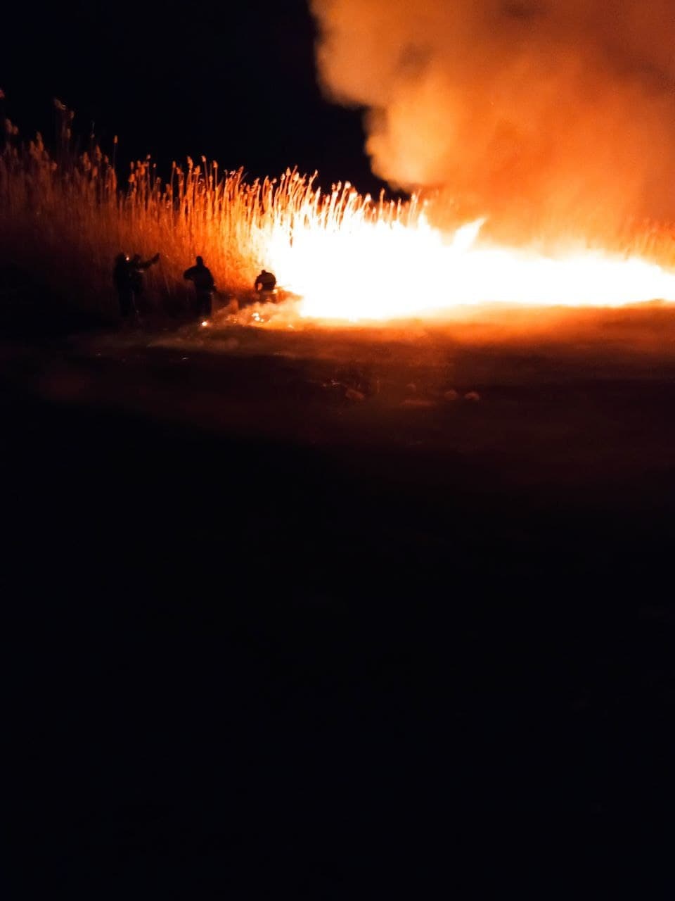 FOTO/VIDEO Șapte autospeciale au luptat cu focul pentru a salva de incendiu Rezervația "Prutul de Jos"