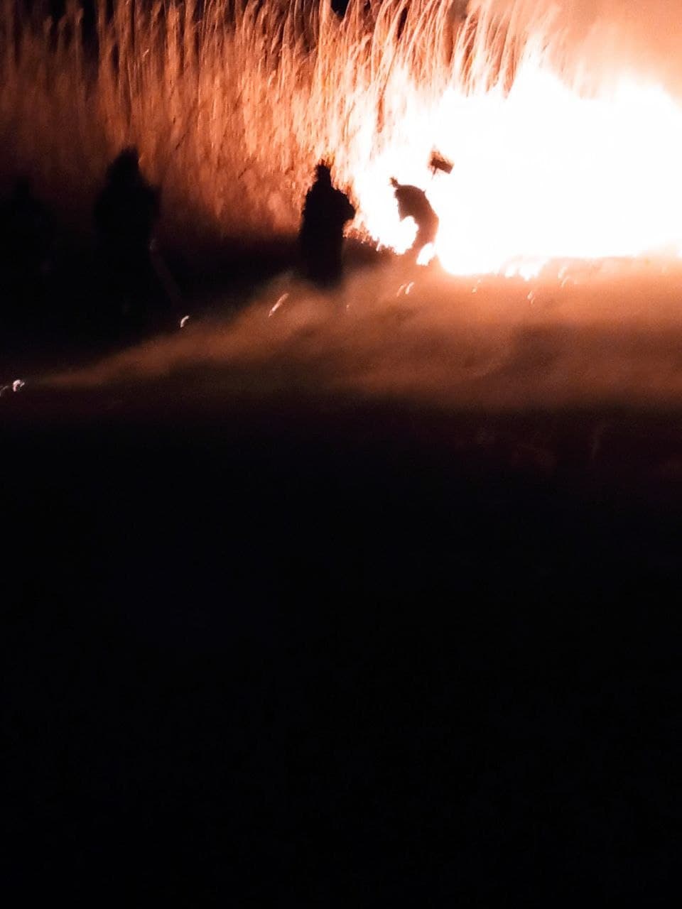 FOTO/VIDEO Șapte autospeciale au luptat cu focul pentru a salva de incendiu Rezervația "Prutul de Jos"