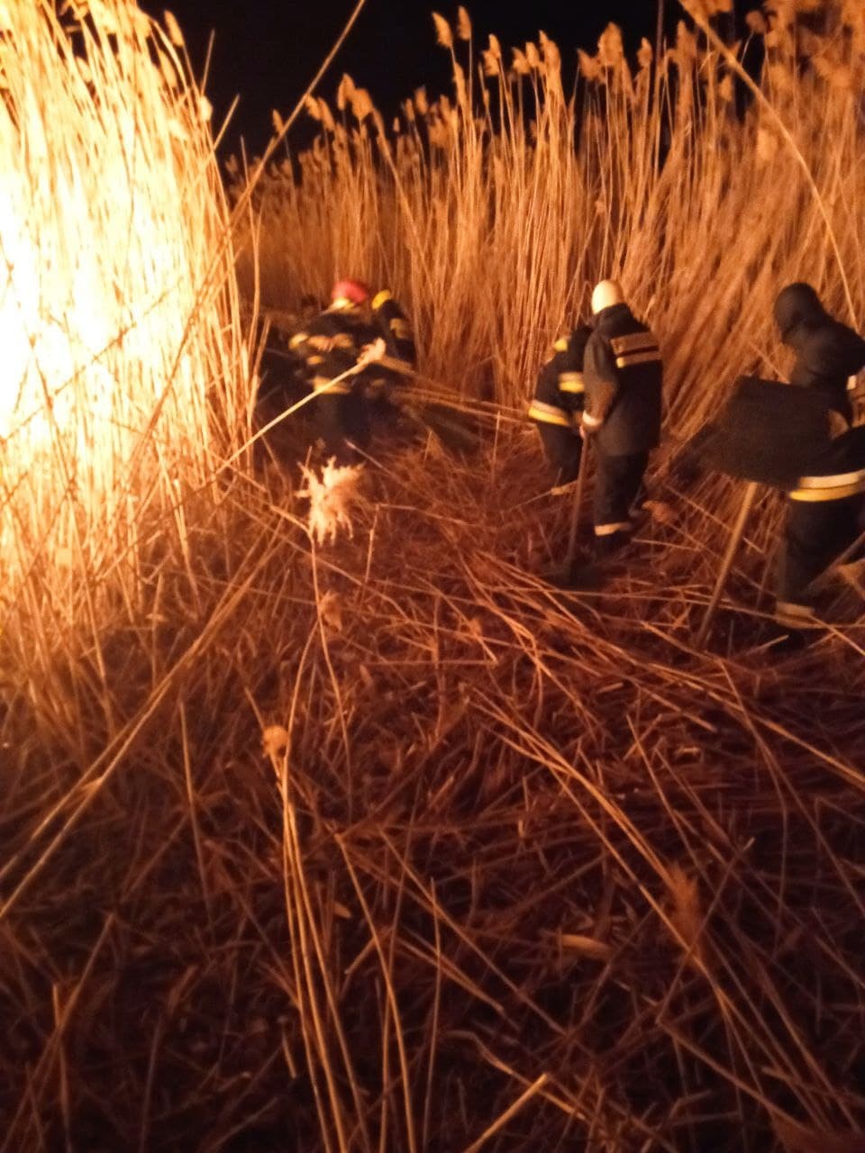 (ВИДЕО) В Кагульском районе произошел пожар. Огонь уничтожил 100 га растительности