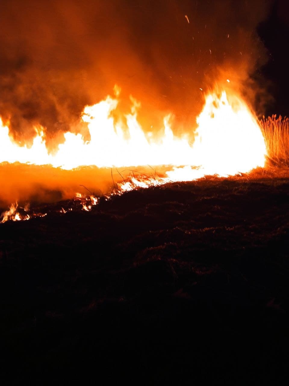 (ВИДЕО) В Кагульском районе произошел пожар. Огонь уничтожил 100 га растительности