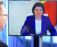 Гаврилица ответила Euronews на вопрос о возможности вступления РМ в НАТО