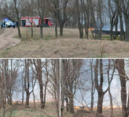 FOTO Un minor a incendiat vegetația uscată dintr-un parc din Chișinău: băiatul "a vrut să facă o glumă"