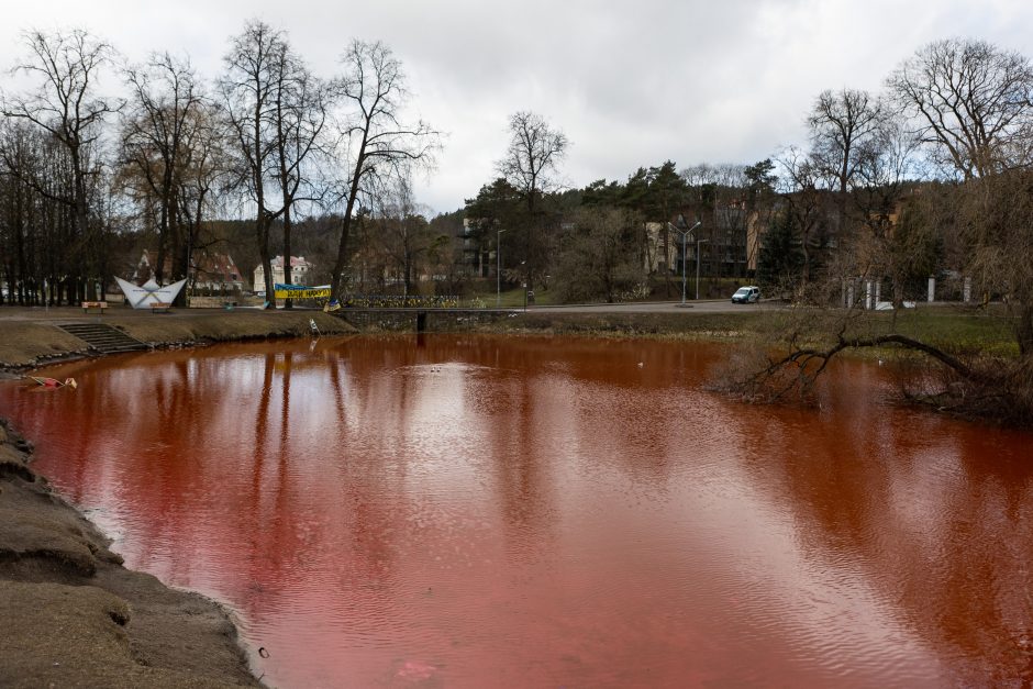 (ФОТО) Акция протеста в Вильнюсе. Воду в пруду около посольства России окрасили в красный цвет