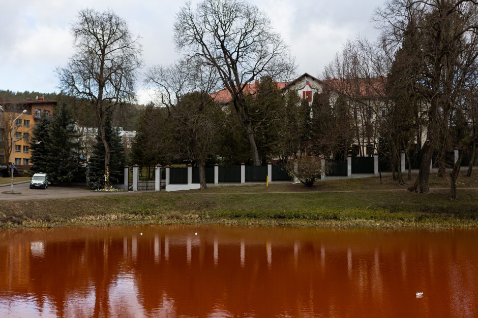 (ФОТО) Акция протеста в Вильнюсе. Воду в пруду около посольства России окрасили в красный цвет